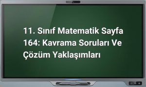11. Sınıf Matematik Sayfa 164: Kavrama Soruları ve Çözüm Yaklaşımları