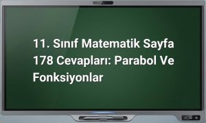 11. Sınıf Matematik Sayfa 178 Cevapları: Parabol ve Fonksiyonlar