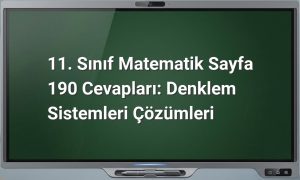 11. Sınıf Matematik Sayfa 190 Cevapları: Denklem Sistemleri Çözümleri