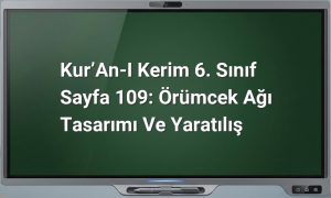 Kur’an-ı Kerim 6. Sınıf Sayfa 109: Örümcek Ağı Tasarımı ve Yaratılış