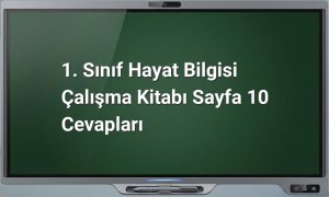 1. Sınıf Hayat Bilgisi Sayfa 10