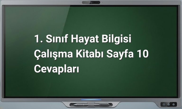 1. Sınıf Hayat Bilgisi Sayfa 10