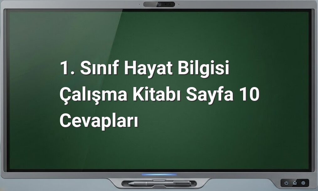 1. Sınıf Hayat Bilgisi Sayfa 10