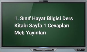 1. Sınıf Hayat Bilgisi Sayfa 1 Cevapları