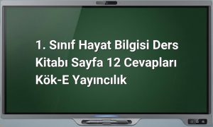 1. sınıf hayat bilgisi cevapları