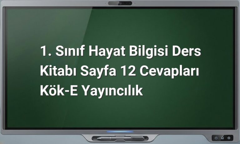 1. sınıf hayat bilgisi cevapları