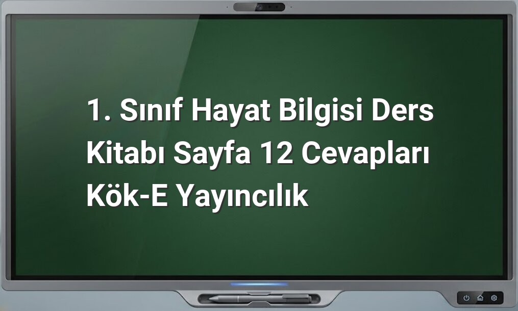 1. sınıf hayat bilgisi cevapları