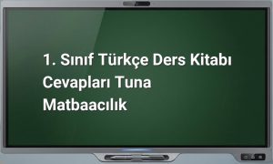 1. Sınıf Türkçe Ders Kitabı Cevapları