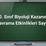 10. Sınıf Biyoloji Kazanım Kavrama Etkinlikleri Sayfa 2