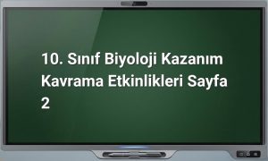 10. Sınıf Biyoloji Etkinlikleri