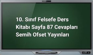 10. Sınıf Felsefe Sayfa 87 Cevapları