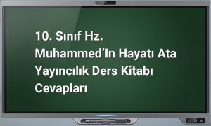 Hz. Muhammed'in Hayatı