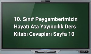 Peygamberimizin Hayatı Sayfa 10 Cevapları