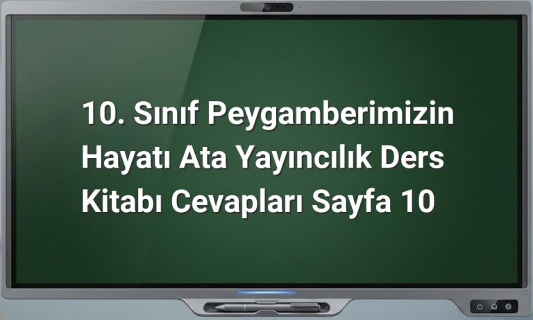 Peygamberimizin Hayatı Sayfa 10 Cevapları