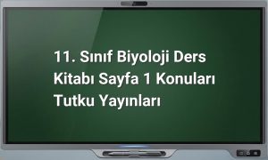 11. Sınıf Biyoloji