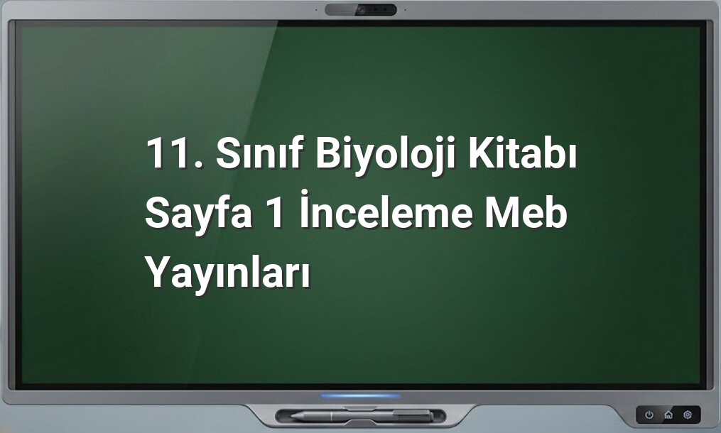 11. sınıf biyoloji sayfa 1