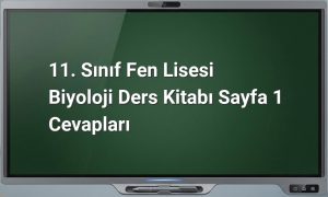 11. Sınıf Biyoloji Sayfa 1 Cevapları