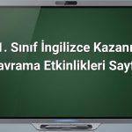11. Sınıf İngilizce Kazanım Kavrama Etkinlikleri Sayfa 2
