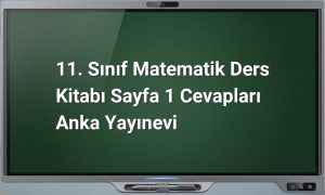 11. Sınıf Matematik Sayfa 1 Cevapları