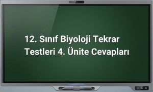 12. Sınıf Biyoloji 4. Ünite Cevapları