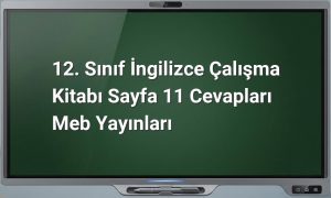 İngilizce çalışma kitabı sayfa 11 cevapları
