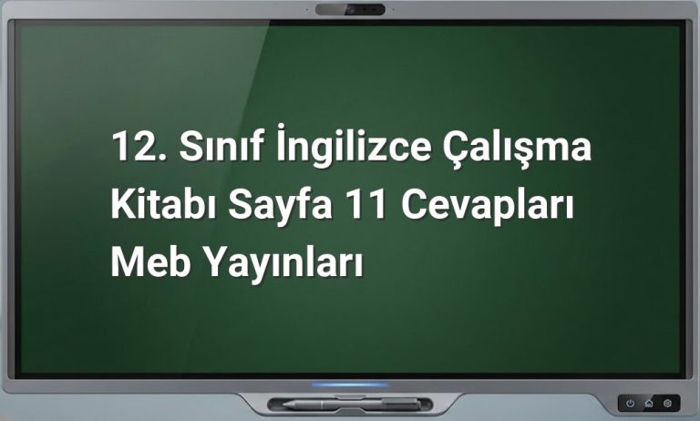 İngilizce çalışma kitabı sayfa 11 cevapları