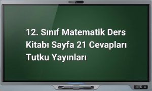üstel fonksiyon grafiği