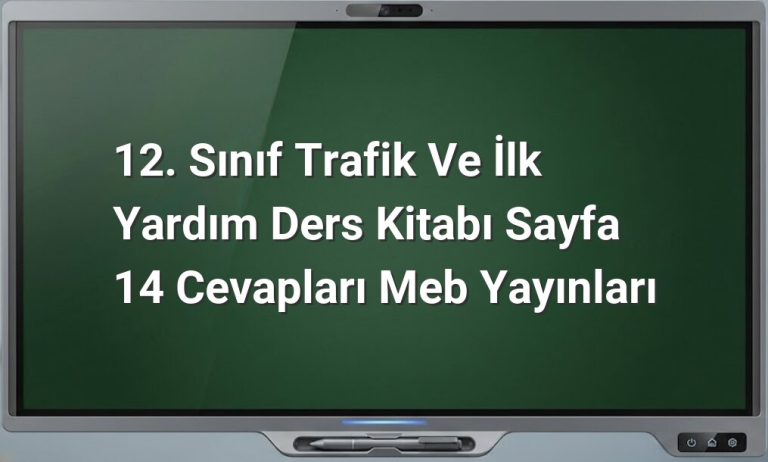 Trafik kazaları ve önlemleri