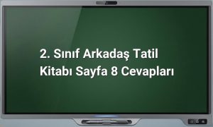 2. Sınıf Türkçe Sayfa 8 Cevapları
