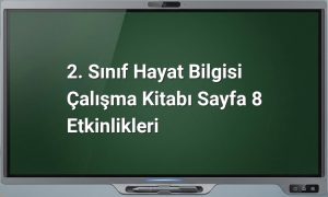 2. Sınıf Hayat Bilgisi Sayfa 8