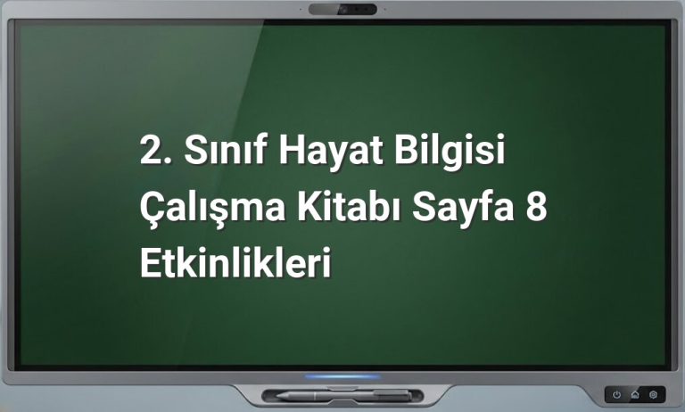 2. Sınıf Hayat Bilgisi Sayfa 8