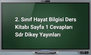2. Sınıf Hayat Bilgisi Sayfa 1