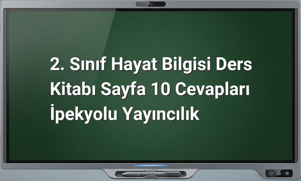 2. Sınıf Hayat Bilgisi Cevapları