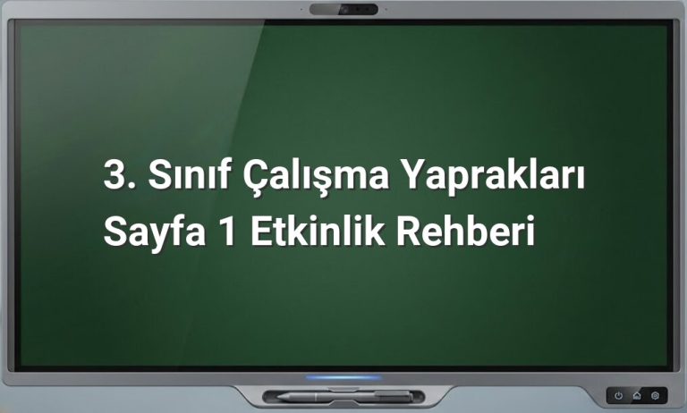 3. Sınıf çalışma yaprakları etkinlikleri