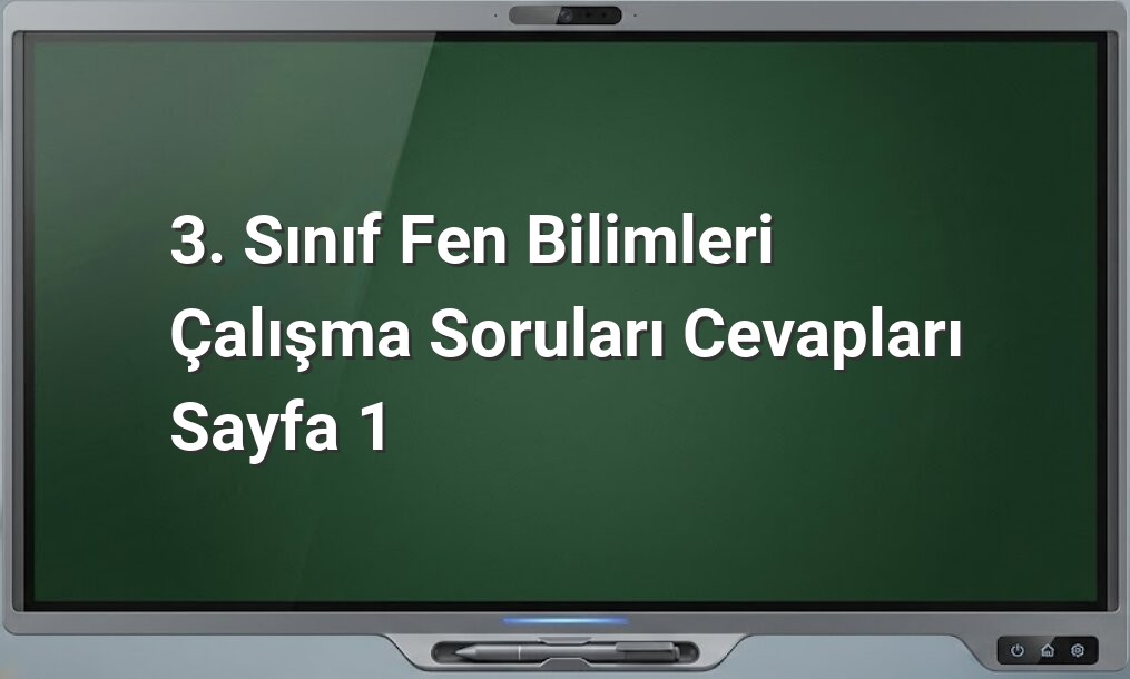 3. Sınıf Fen Bilimleri çalışma soruları