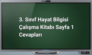 3. Sınıf Hayat Bilgisi Sayfa 1