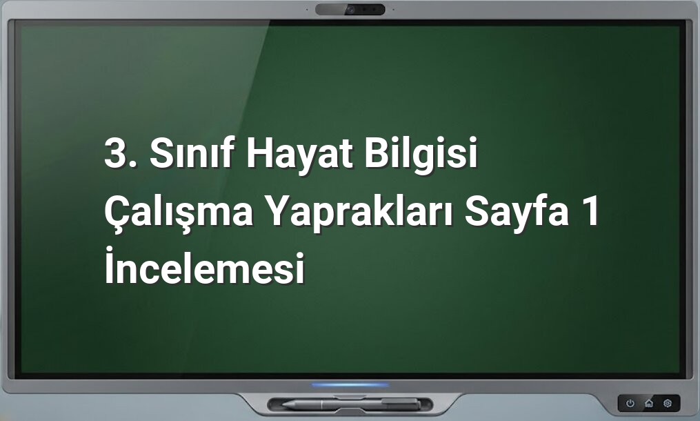 3. Sınıf Hayat Bilgisi Sayfa 1