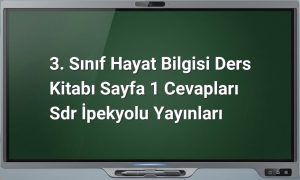 Hayat Bilgisi 3. Sınıf Sayfa 1