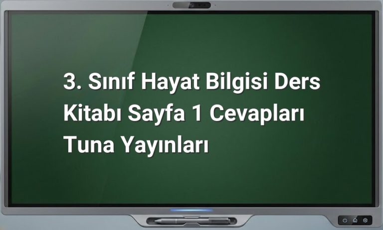 3. Sınıf Hayat Bilgisi