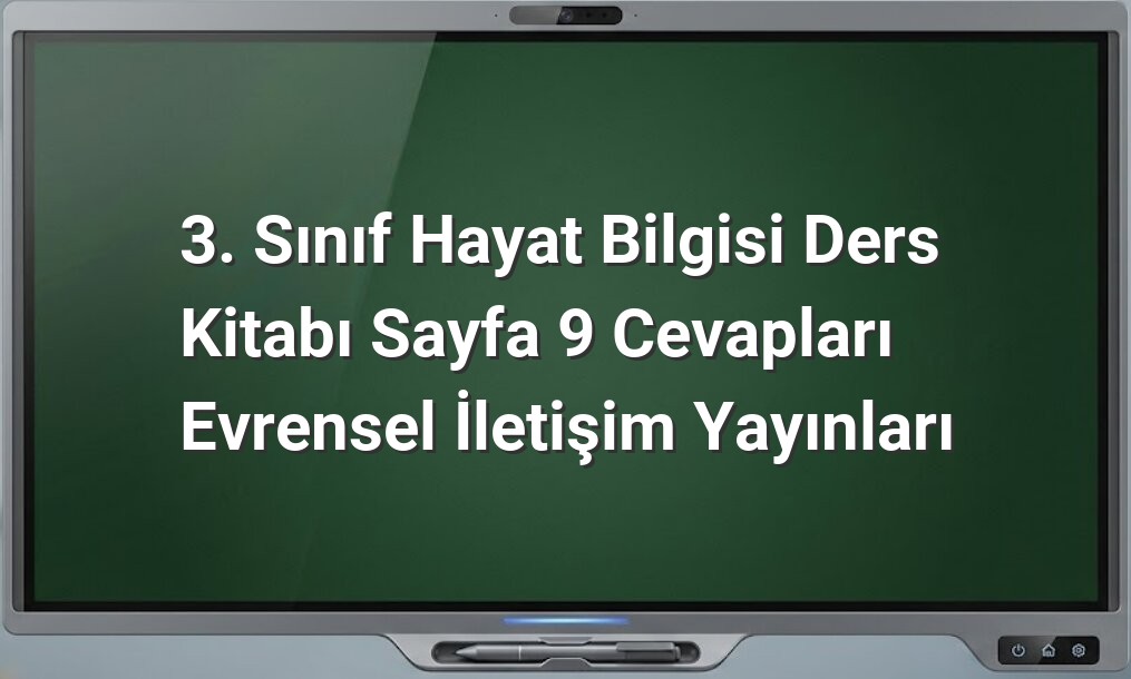 3. Sınıf Hayat Bilgisi Cevapları