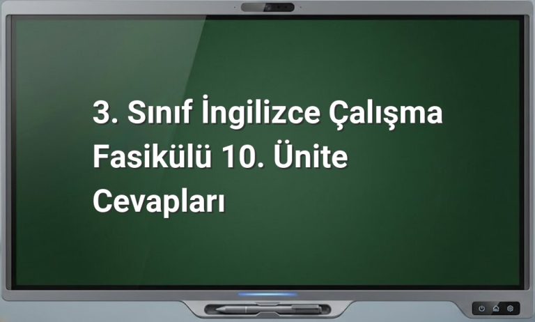 3. Sınıf İngilizce 10. Ünite