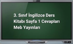 3. Sınıf İngilizce Cevapları