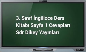 3. Sınıf İngilizce Sayfa 1 Cevapları
