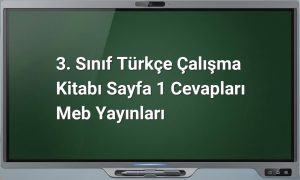 3. Sınıf Türkçe çalışma kitabı