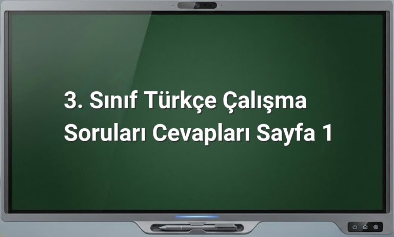 3. Sınıf Türkçe Çalışma Soruları