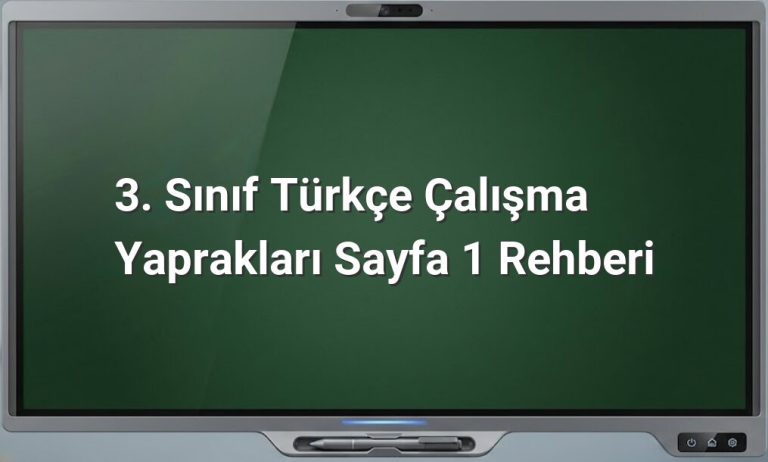 3. Sınıf Türkçe çalışma yaprakları