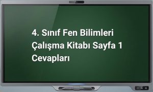 4. Sınıf Fen Bilimleri Sayfa 1