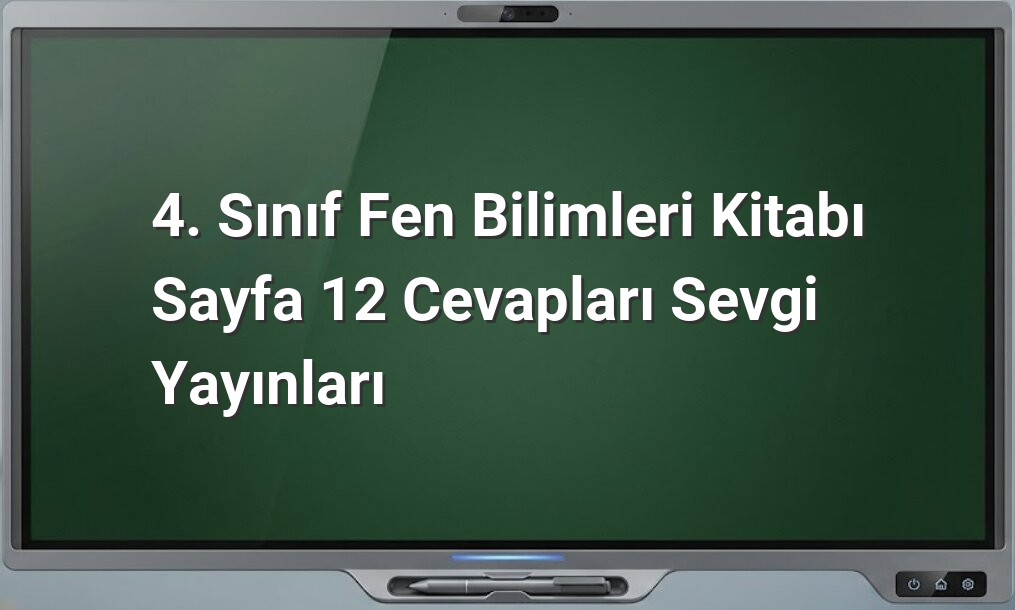 4. Sınıf Fen Bilimleri Sayfa 12 Cevapları