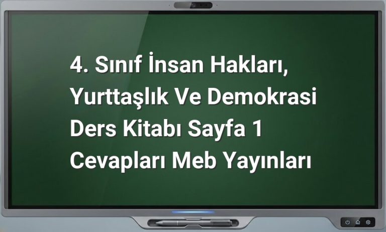 İnsan Hakları 4. Sınıf Cevapları