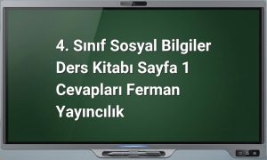 4. Sınıf Sosyal Bilgiler Sayfa 1 Cevapları